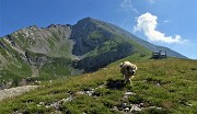 21 Al Piancansaccio d'Arera con vista in Val d'Arera